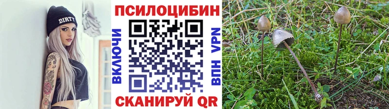 Галлюциногенные грибы Magic Shrooms  Аркадак 