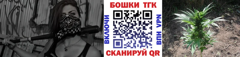 как найти   Аркадак  Бошки марихуана планчик 
